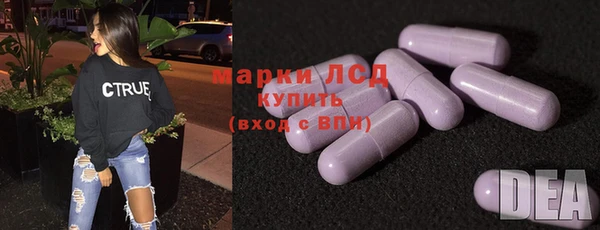 шишки Пересвет