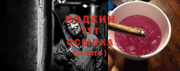 шишки Пересвет