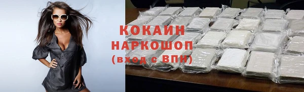 шишки Пересвет