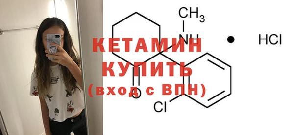 шишки Пересвет