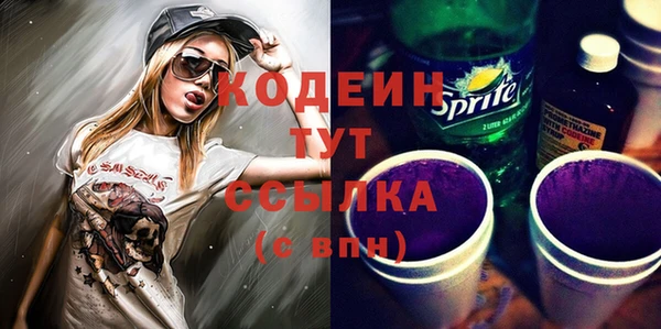 шишки Пересвет