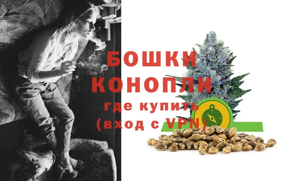 стаф Вязники