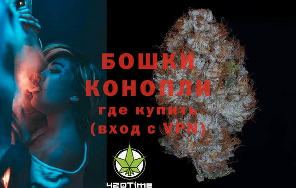 стаф Вязники